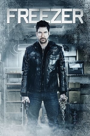 Freezer (2014) Hindi Dual Audio 250MB HD Poster Download - Filmyzilla