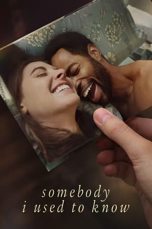 Somebody I Used to Know 2023 Hindi Dual Audio – HD Poster Download - Filmyzilla